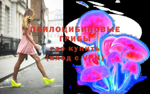 прущая мука Алзамай